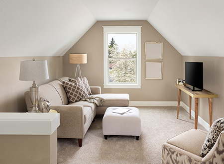 Basic Room Renovation